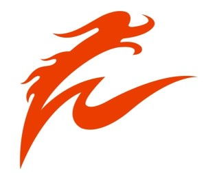 沛县飞龙文化传媒