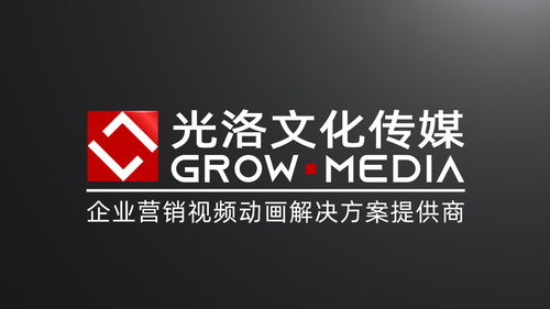 上海光洛文化传媒 引领新时代文化传媒的创新与发展